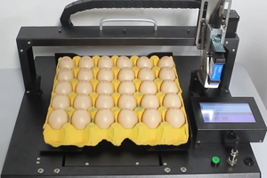 Imprimante jet d'encre entièrement automatique YAOMATEC pour le codage des œufs, <span class=keywords><strong>date</strong></span> d'expiration, codes-barres et QR codes sur cartons, bois, métal et plastique - Product Image 2