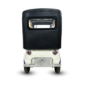 Voiturette de golf électrique vintage Holladay 4 places, frein à disque sur quatre roues, quadricycles électriques 1000W pour adultes - Product Image 6