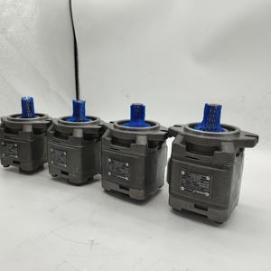 Bomba de Aceite Hidráulica SUNNY HG0-13-01R-VPC HG HG0 HG1 HG2 HYTEK Bomba de Engranajes Internos de Alta Presión HG1-50-01R-VPC HG2 -80 -01R-VPC - Product Image 2