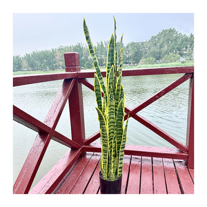 Planta Artificial de <span class=keywords><strong>Sansevieria</strong></span> en Maceta Negra de Plástico, Bonsái Decorativo para Jardín, Gran Venta - Product Image 2