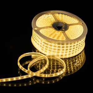 Tira de Luz LED SMD 2835 de 220V, Alto Lumen, 9mm, 120 LEDs/m, 100m/Rollo, IP67 Impermeable, Iluminación Exterior para Paisajes, Rojo, Azul, Verde - Product Image 1