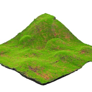 Gazon artificiel en polyester Angus Simulated Moss Landscape Turf 200cm+ pour décoration intérieure et extérieure et accessoires de photographie - Product Image 4