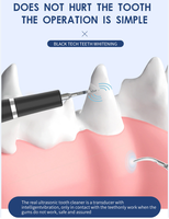 Nettoyeur de dents pour animaux de compagnie en acier inoxydable à ultrasons, lumière LED, 3 modes, kit de nettoyage dentaire pour chiens et chats, soins bucco-dentaires à domicile, étanche IPX6