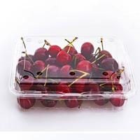 Récipient en plastique jetable pour emballage alimentaire Boîte à lunch Conteneur à salade de fruits avec couvercle en forme de dôme Usine de traitement de l'eau