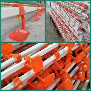 Sistema de línea para beber pollo, tubería de agua de <span class=keywords><strong>Pvc</strong></span>, línea automática para beber aves de corral con <span class=keywords><strong>bebedero</strong></span> de pezón - Product Image 6