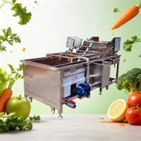 OEM Automatische Industriële Luchtbelwasmachine voor het reinigen van fruit & groenten voor voedselverwerkingsfabrieken