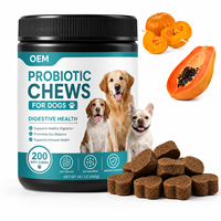 Friandises à mâcher molles multi-souches probiotiques pour chiens : Santé digestive, équilibre intestinal, soutien immunitaire, nutrition aux fibres de citrouille – Fabrication OEM