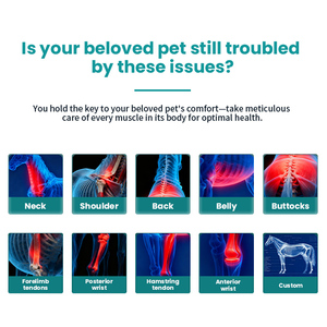 Máquina de Terapia Ultrassônica e de Ondas de Choque 4 em 1 para Recuperação Acelerada de Lesões Esportivas em Cavalos e Cães - Product Image 5