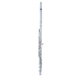 Flûte à bec à 17 trous ouverts et fermés, corps en cupronickel, cuivre blanc, clé E, accordage en Do, plaqué argent, pour débutant - Product Image 1