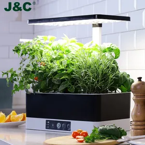 Annecy con smart suolo-fare clic su e crescere intelligente giardino al coperto giardino di erbe sistemi di coltivazione idroponica cucina