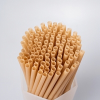Pailles en fibre de bagasse 100 % biodégradables, robustes, naturelles, à base de plantes, personnalisables, en canne à sucre pour boissons froides, smoothies et fêtes