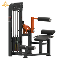 Machine d'entraînement du tronc abdominal, acier, usage commercial, pile de poids de 80 kg, équipement de musculation universel à charge par goupille