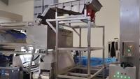 Máquina Clasificadora Óptica de Plástico con Cámara CCD a Todo Color, Clasificador Óptico de Plástico para la Selección de Residuos Plásticos