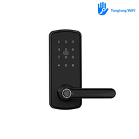 Hot Item Digital Smart Lock 6070 Standard Lock Body HR Security Lock Multi Options for Villa Hospitality