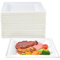 Assiettes carrées jetables en bagasse de canne à sucre biodégradables et compostables de 10 pouces, robustes et écologiques