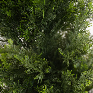 Árbol de Ciprés Artificial Alto, Colección de Árboles de Boj, Cedro y Hierba, Duradero, Realista, Ecológico, Resistente a los Rayos UV, Plástico para Interiores - Product Image 3