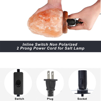 Cordon d'alimentation 220V pour lampe de sel avec variateur, prise femelle Type-C, prise IEC à extrémité dénudée, 1,5m, prise CN, 2 prises pour appareils électroménagers