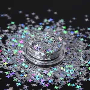 Bubuk Kuku Krom Ramah Lingkungan, Glitter Seni Kuku Holografik Baru Kustom