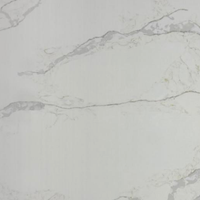 Dalle de pierre de quartz résistante aux rayures, surface solide, panneau de revêtement industriel, revêtement mural commercial, vente en gros