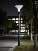 Farola Moderna para Poste, Lámpara LED de 30W-80W para Iluminación de Áreas, con Certificación CE ROHS, para Alumbrado Público Urbano, Jardín y Arquitectura