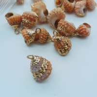 Berbagai Liontin Kerang Pantai Scallop Baru yang Cantik, Gaya Conch, Berlapis Emas Alami, Liontin Kerang Kecil Nan Indah, Manik-Manik Kerang Kecil Nan Menawan