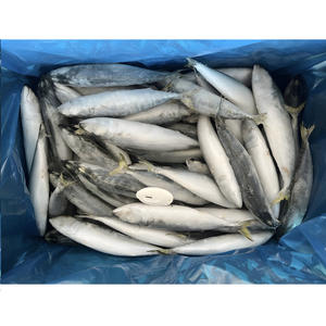 Maquereau du Pacifique Congelé, Poisson Congelé, 300-500g de Maquereau pour l'Afrique - Product Image 3