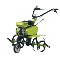 Agriculture Diesel japonais 9hp 25hp tirer derrière une roue remorque tracteur de marche puissance Rt 105 petite barre rotative