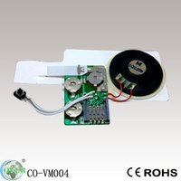 Module enregistreur vocal musical personnalisé DIY, puce sonore de 16 minutes avec haut-parleur pour cartes de vœux, projets d'artisanat de vacances et cadeaux