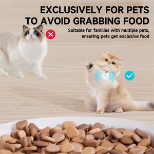 Lebensmittelechte Haustierprodukte RFID Katzenfutterautomat mit Zeitsteuerung Sprachanruf Automatischer Mikrochip-Futterautomat für Katzen und Hunde - Product Image 5