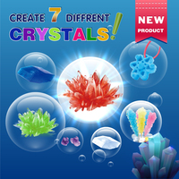 Fabricant de jouets ODM/OEM BIG BANG SCIENCE, kit de culture de cristaux personnalisé, jouet éducatif scientifique pour enfants, bricolage chimie