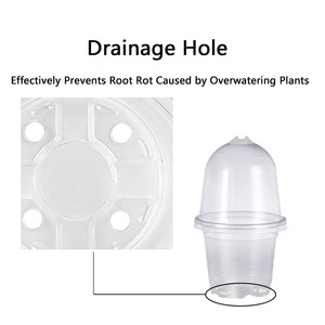 10 pièces/sac Pots de jardinage en PET <span class=keywords><strong>pour</strong></span> semis et <span class=keywords><strong>repiquage</strong></span>, avec dômes d'humidification, 3.5, 4, 5 pouces - Product Image 6
