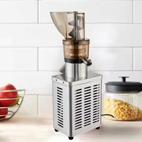 Commerciële automatische slowjuicer voor fruit, sapcentrifuge, 300W-2000W motor voor appel- en sinaasappelsap, voor detailhandel.