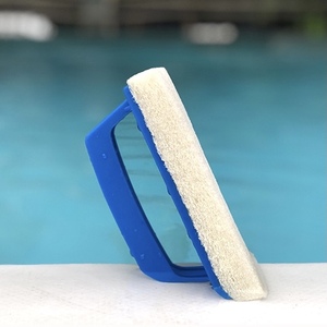 BONNY-cepillo de fregado de pared y suelo para <span class=keywords><strong>piscina</strong></span>, almohadilla de mano - Product Image 5