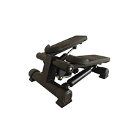 Mini stepper d'exercice d'intérieur professionnel multifonctionnel pour le renforcement corporel, vente en gros