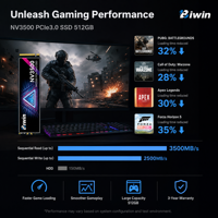 BIWIN NV3500 512GB PCIe3.0 NVMe M.2 2280 SSD Internal Solid State Drive untuk PC Laptop OEM & DIY Komputer Gaming Tersedia