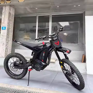 安徽Starye 2025北极豹XE PRO <span class=keywords><strong>S</strong></span>电动摩托车72V55Ah 20KW 100千米/h速度锂电池盘式制动器 - Product Image 6