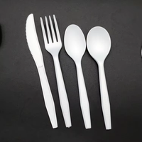 Ustensiles de restaurant et couteau à steak Emballage personnalisé Fourchettes jetables Premium Series CPLA Coutellerie Emballage de vente au détail