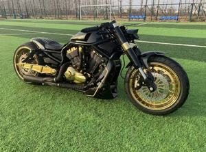 Harley-Davidson Custom Wolverine 1250cc Moto Retrò da Crociera con Prestazioni Potenti e Guida Confortevole - Product Image 2
