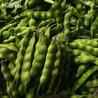 Haricots verts surgelés en vrac 10 kg |   Légumes surgelés sans OGM |   Haricots froids fraîchement congelés |   Haricots froids IQF surgelés en provenance de Chine