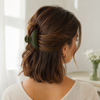 Nouvelle pince à cheveux coréenne Newyeah style INS, couleur Morandi, minimaliste, en acétate écologique, dégradé de couleurs, pince requin premium pour chignon