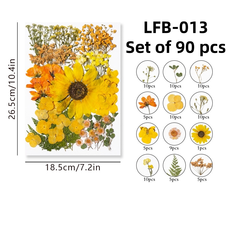 LFB-013