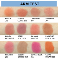 Haute qualité de luxe végétalien Blush poudre pressée Blush Palette étui personnalisé chaud rose vif maquillage pour le visage fard à joues marque privée
