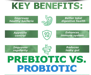 OEMプライベートラベル 天然ハーブエキス粉末 大人・男性/女性用サプリメント 100%ビーガンオーガニック 免疫力向上 - Product Image 3