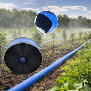 Tuyau d'irrigation agricole double aile de qualité supérieure en PE pour pulvérisation uniforme et économie d'eau, idéal pour fermes, serres et vergers - Product Image 3