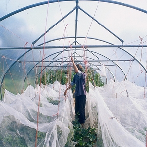 Agricoltura trattata UV HDPE in plastica Anti-insetto maglia per serra agricola a prova di insetti produttore resistente durevole - Product Image 6