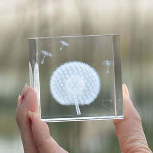 Yearscrystal 3D Laser Khắc Bồ Công Anh Mẫu K9 Rõ Ràng Pha Lê Khối Cube Xu Hướng Thời Trang Trang Trí Nội Thất Quà Tặng Đám Cưới Quà Lưu Niệm - Product Image 6