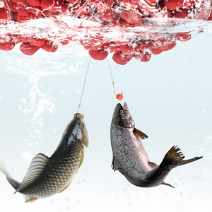 Cebo de Pesca Transfronterizo para Carpa Crucian, Gancho de Pesca de Agua Dulce, Cebo Aromático en Pellets, Origen Shandong - Product Image 1