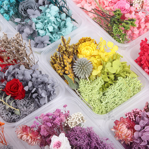 Kit de fleurs séchées Yuluhui, hortensia et rose, emballage en boîte plastique pour artisanat, cadeau et décoration - Product Image 4