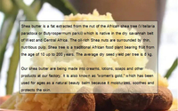 Beurre de karité en vrac 100% pur biologique naturel Ghana non raffiné et raffiné pour les soins de la peau Savon Crème Lotion pour les mains