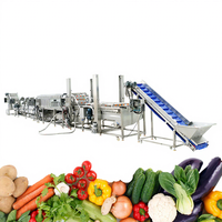 Commerciële salade sorteer-, was-, snij- en groente- en fruitwasmachine/groente- en fruitverwerkingslijn